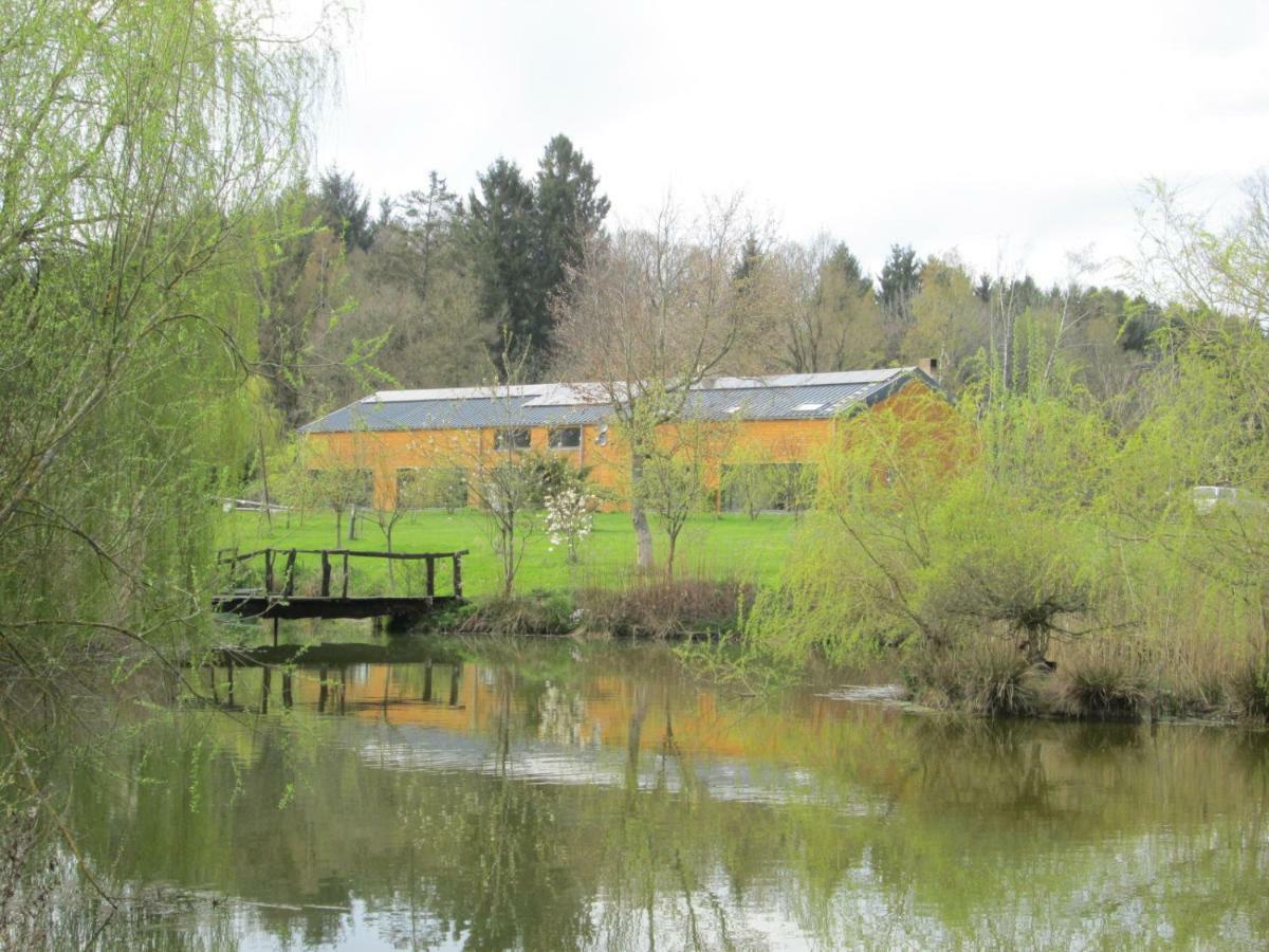 Florennes Gite Neuf 150 M2 Devant Un Grand Lac Prive De 2 Hectares Poissonneux Au Milieu Des Bois Exterior foto